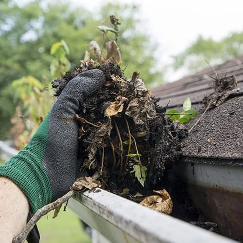 gutter-maintenance-services