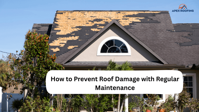 Roof Damage