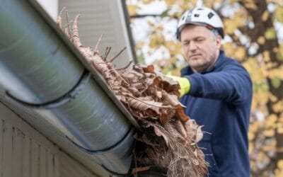 Best Gutter Maintenance Services Near Me: What to Look For