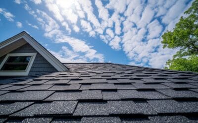 Top 5 Durable Roof Shingles for Harsh Weather Conditions
